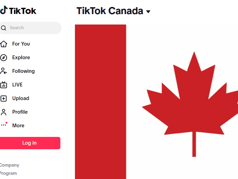 Власти Канады обвинили TikTok в сборе конфиденциальных данных детей