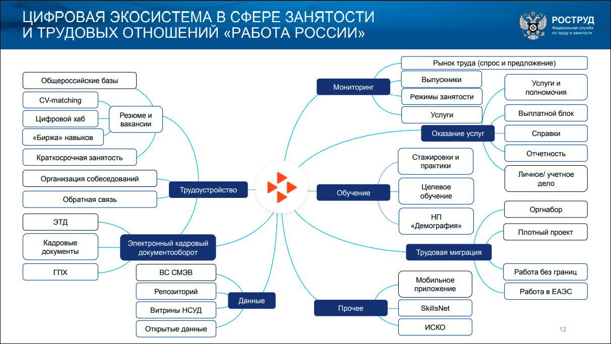 Руководитель Роструда о цифровой трансформации КНД в докладе главе правительства