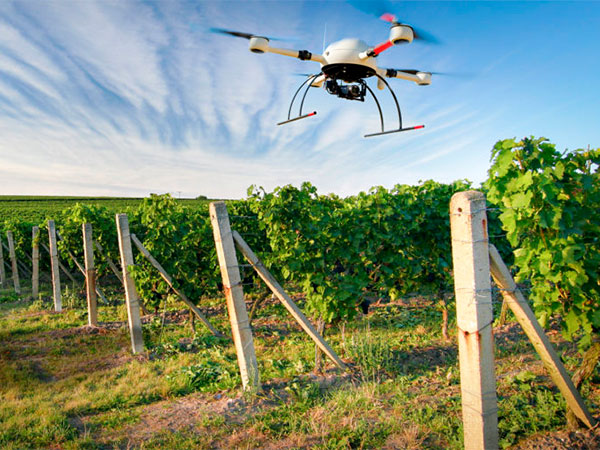 «У нас эти области крайне неразвиты» – первый вице-премьер на стратегической сессии по беспилотным авиационным системам