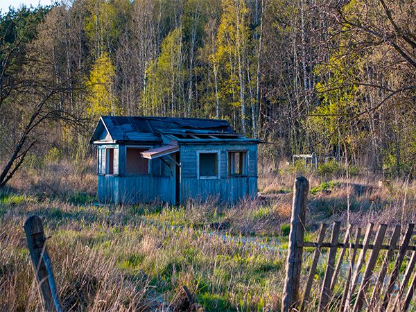 Постановлением правительства определены признаки неиспользования земельных участков в населённых пунктах и СНТ