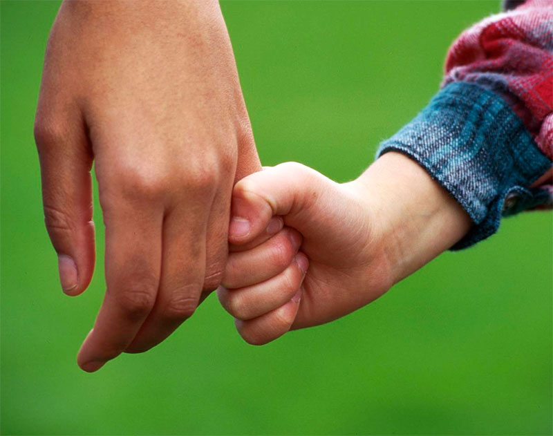 Подписан закон о специальной ГИС для хранения данных об условиях жизни усыновлённых детей