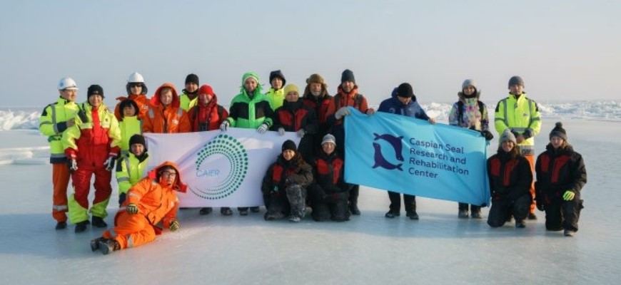 Асель Тасмагамбетова поделилась озабоченностью экологов судьбой каспийских тюленей