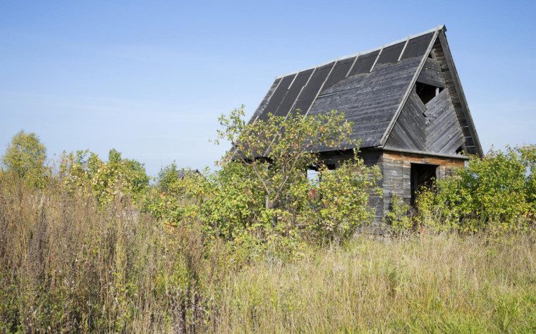 Росреестр сообщил об открытии «горячих линий» для консультаций на предмет неиспользуемых участков