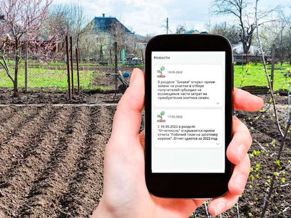 Функция передачи данных о ходе посевной появилась в приложении Новосибирской области для господдержки аграриев