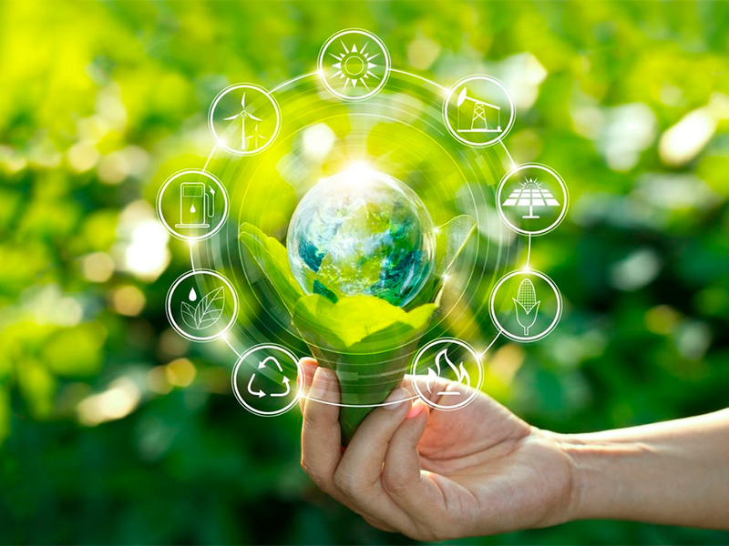 Подписан закон о создании ФГИС состояния окружающей среды