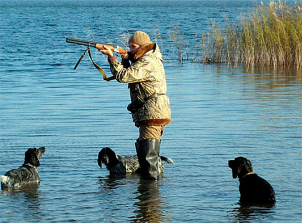 На территории Новосибирской области установлен ЭПР в сфере цифровизации госуслуг — постановление