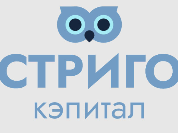 Создан фонд для финансирования IT-проектов – одновременно с самими проектами
