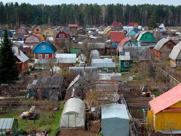 В Башкортостане дачники получили возможность голосовать по вопросам СНТ в региональной ГИС