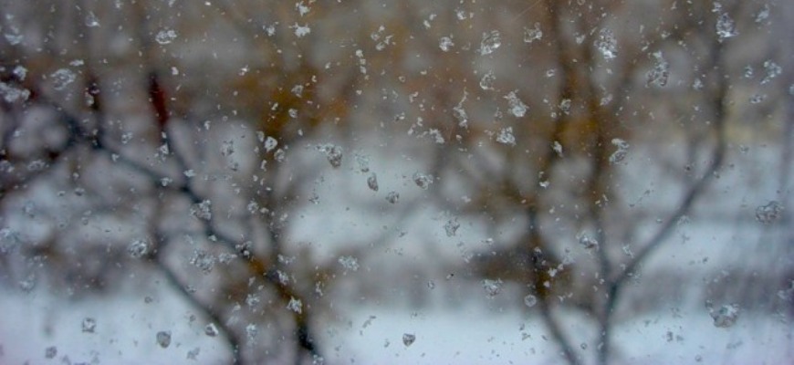 Петербург утонет в талых водах? Коммунальные службы не справились с уборкой снега накануне оттепели