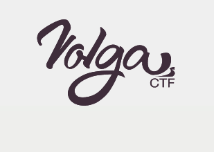 Завершился отборочный этап проводимых в Самаре международных соревнований по ИБ VolgaCTF 2023