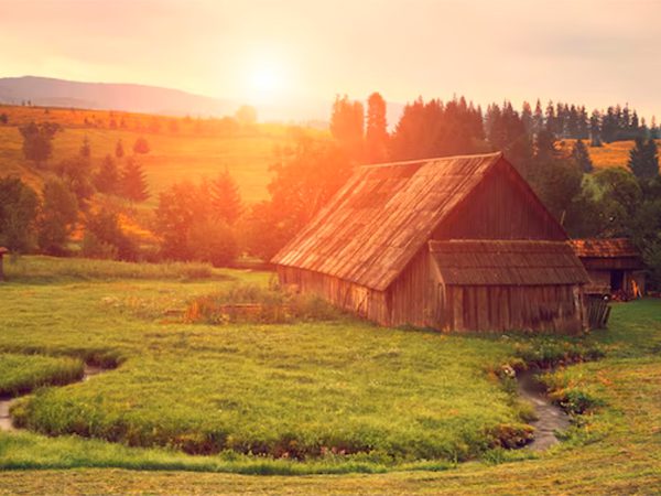 Началось голосование за подключение российских деревень к Интернету в 2026 году