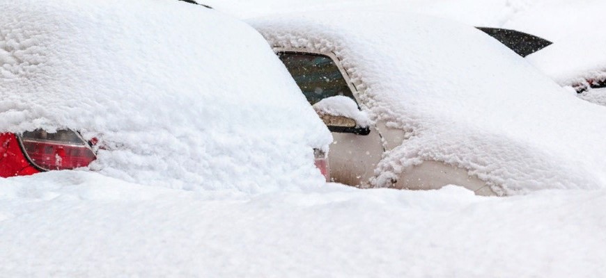 Алла Бредец связала некачественную уборку снега в Петербурге с неслаженной работой подрядчиков и Комблага