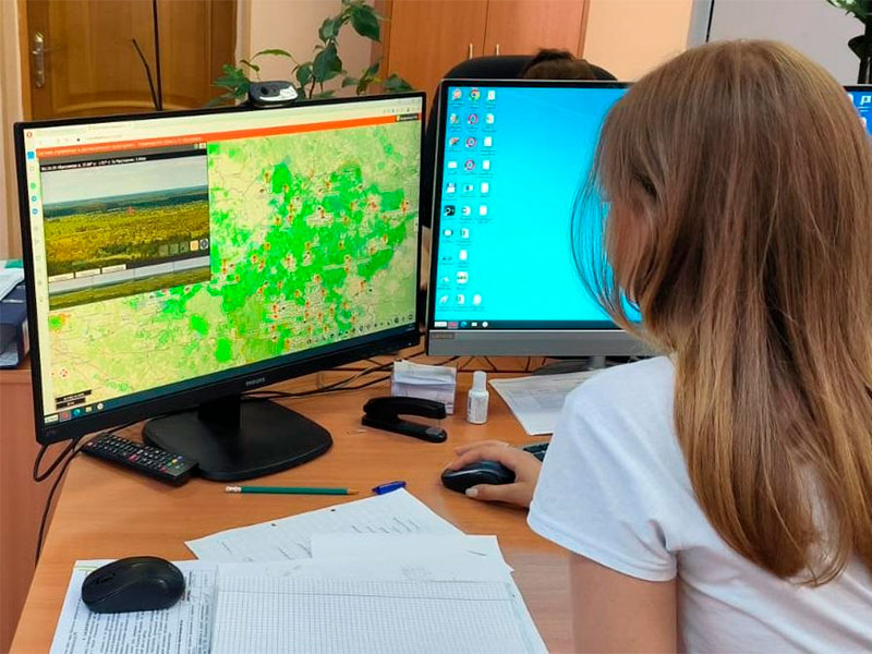 Миницфры Владимирской области сообщило о результатах применения ИИ-системы для мониторинга лесных пожаров